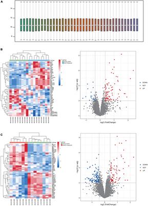 Prognostic Gene Expression Signature for Age-Related Hearing Loss